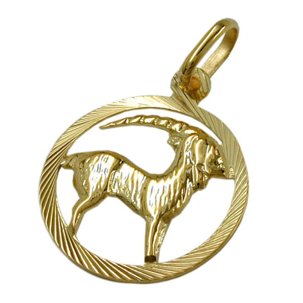 Anhänger, Sternzeichen Steinbock – Gold, diamantiert – 15mm